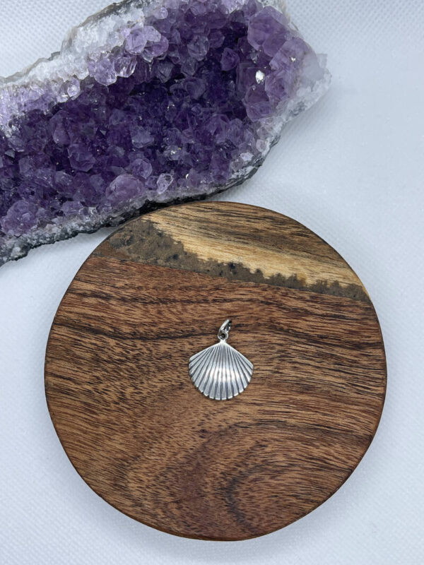 Shell Wonderful Sterling Silver Pendant - Small