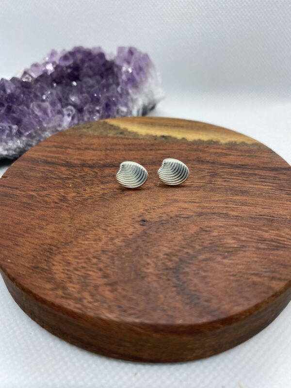Shell Layers Sterling Silver Stud Earrings