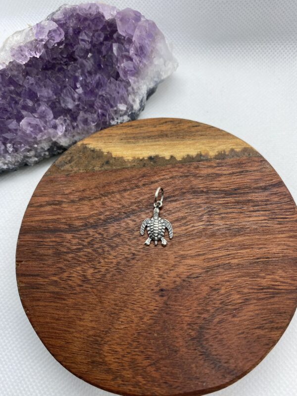 Turtle Sterling Silver Pendant - Small