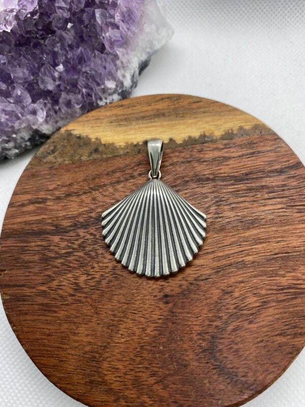 Shell Wonderful Sterling Silver Pendant - Big