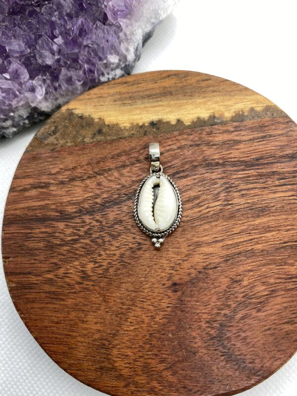 Cowrie Shell Sterling Silver Pendant